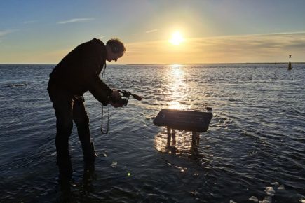 De dam die Napoleon niet bouwde
